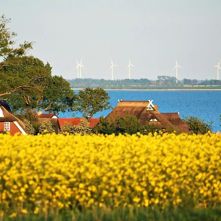 Ferienapartment Duenensand Direkt Am Kurstrand Zingst